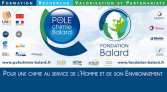 Fondation Balard